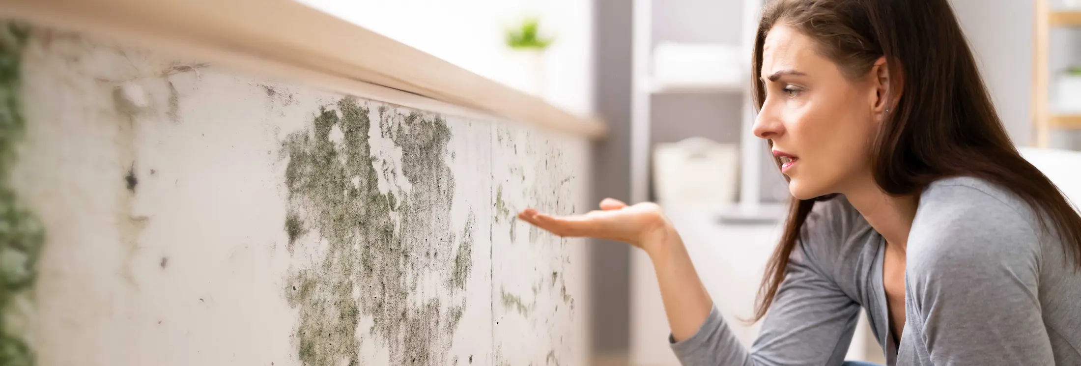 Fallrohrsanierung Stuttgart Fallrohrsanierung Stuttgart